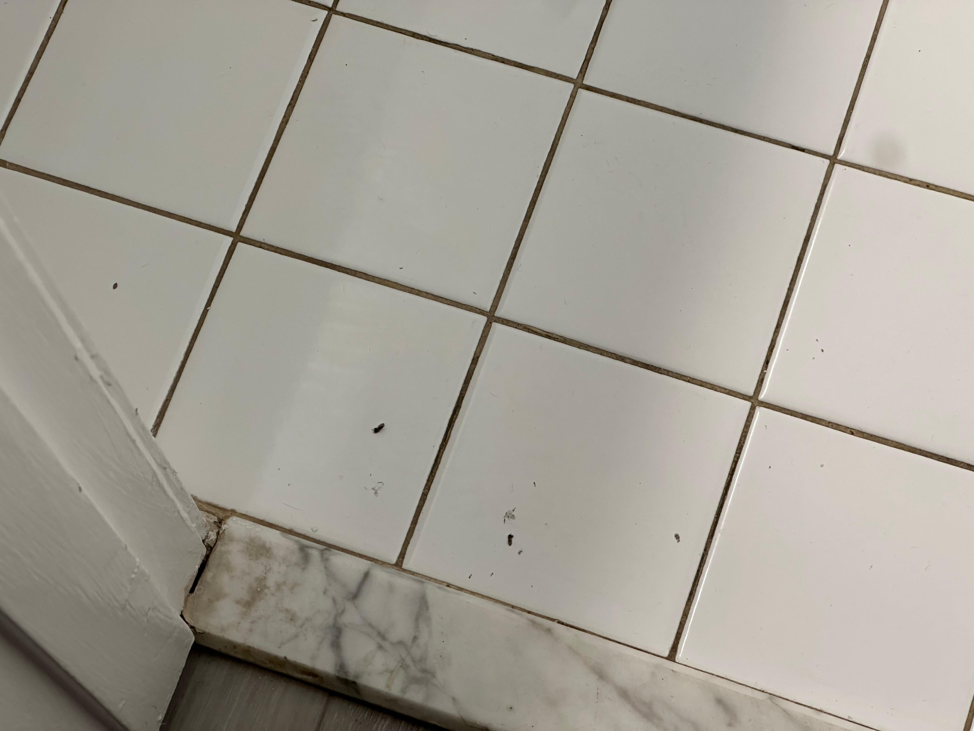 Bugs!