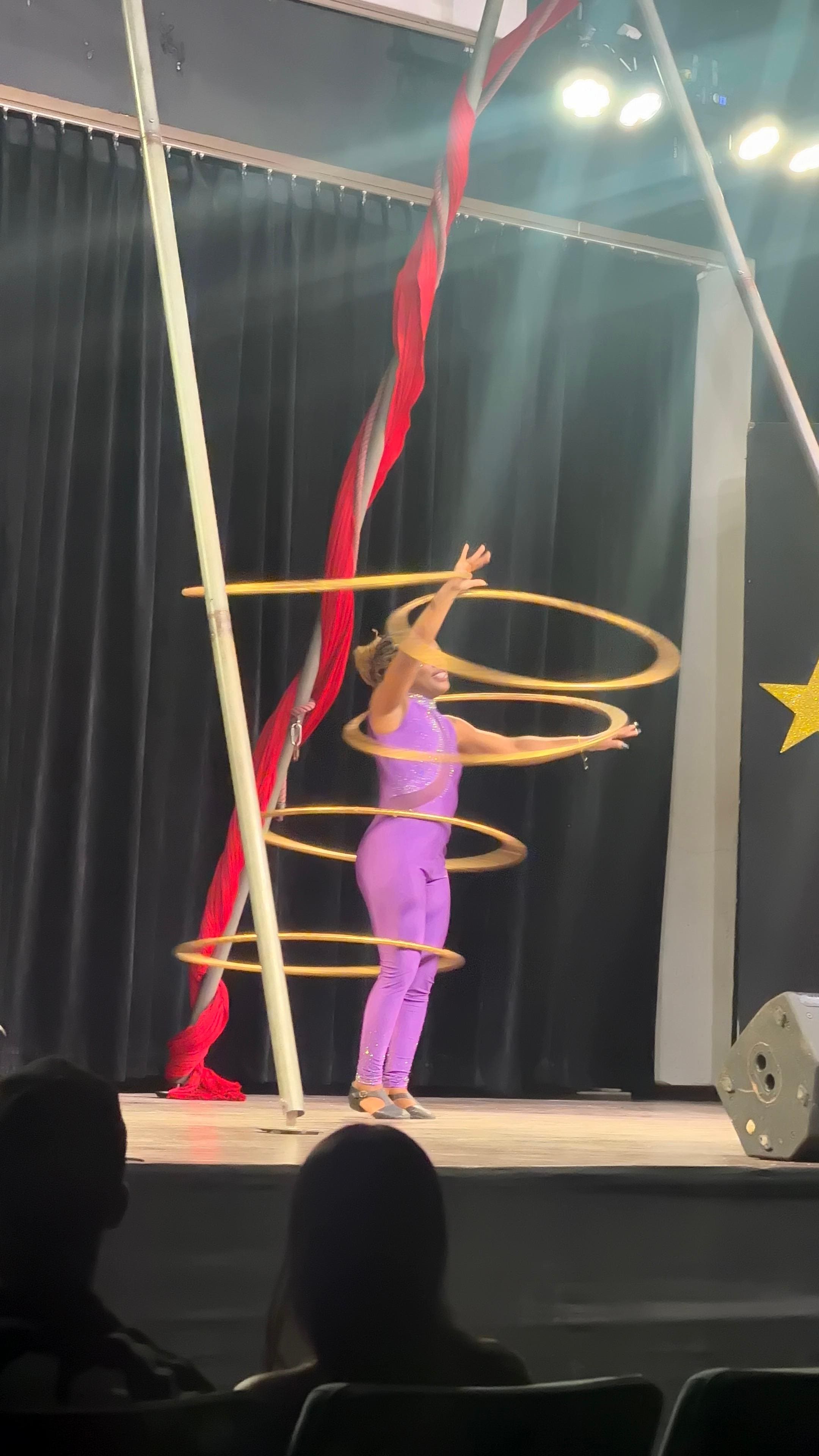 Circus Show