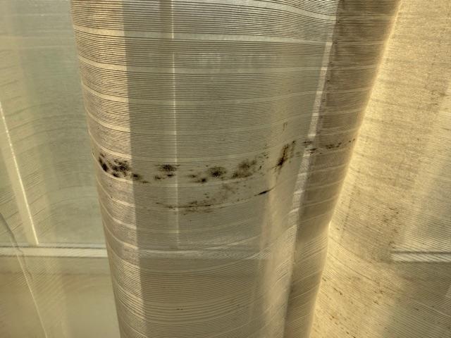 Mold on sheer curtains