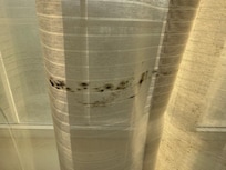 Mold on sheer curtains