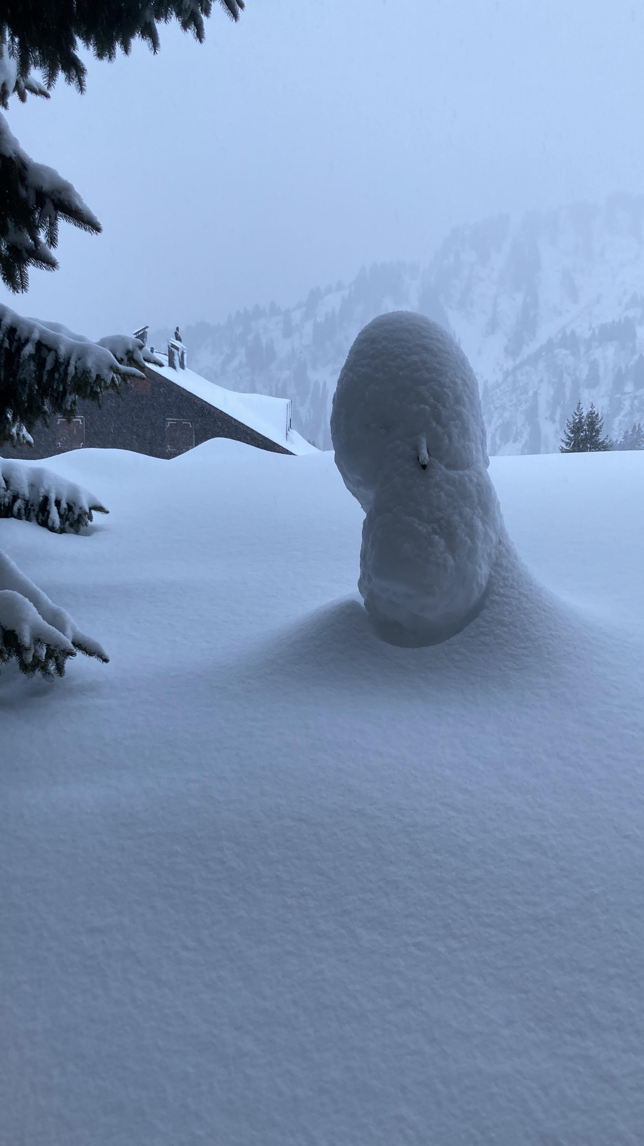 Blick auf die verschneite Terrasse 