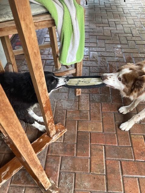 Play time!