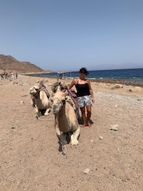 Dahab