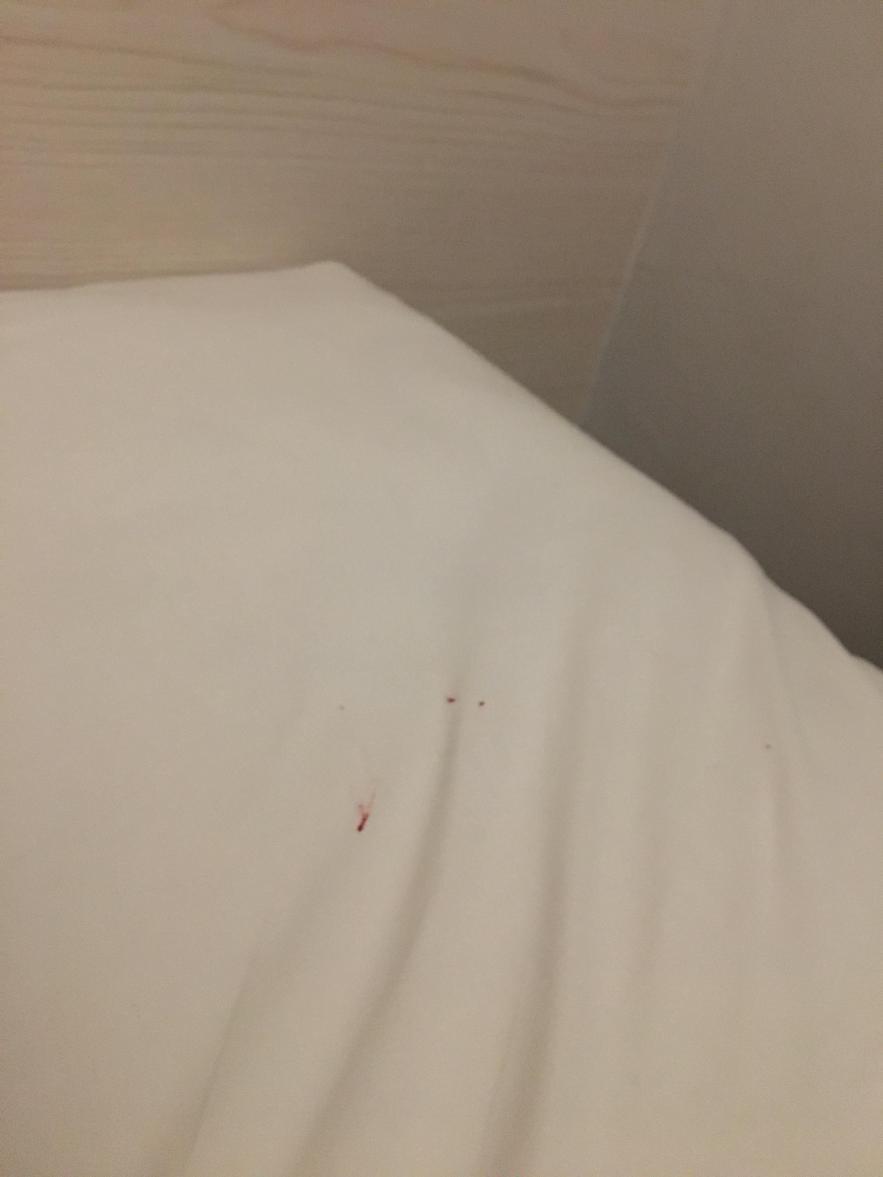 dubious red stain on bedsheet upon check in.