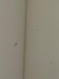 Cobwebs