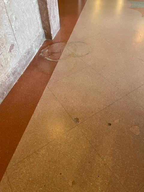 floors are disgusting
