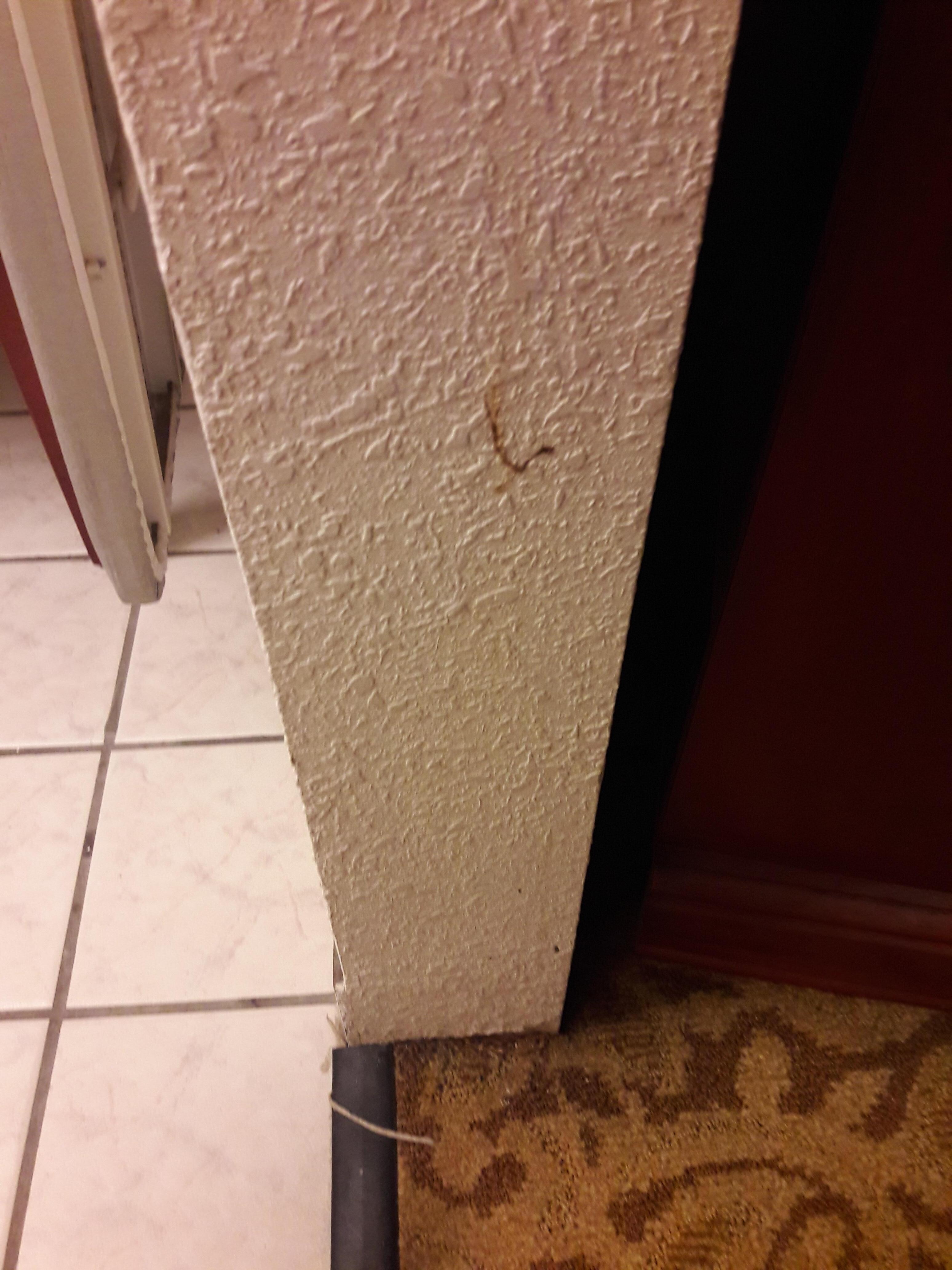 booger on wall