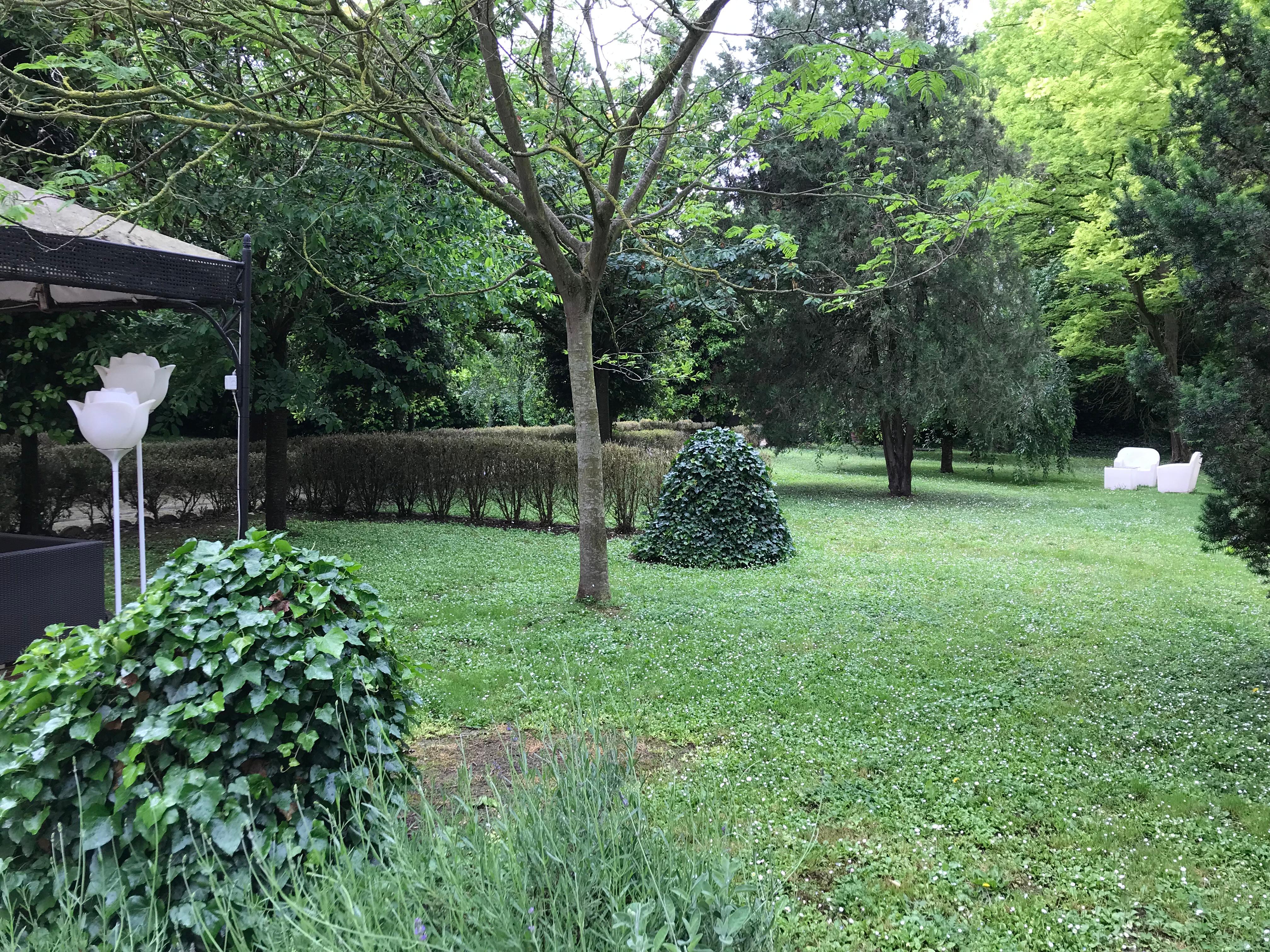 In the garden - a gazebo 