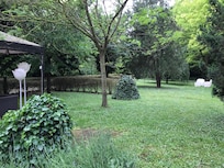 In the garden - a gazebo