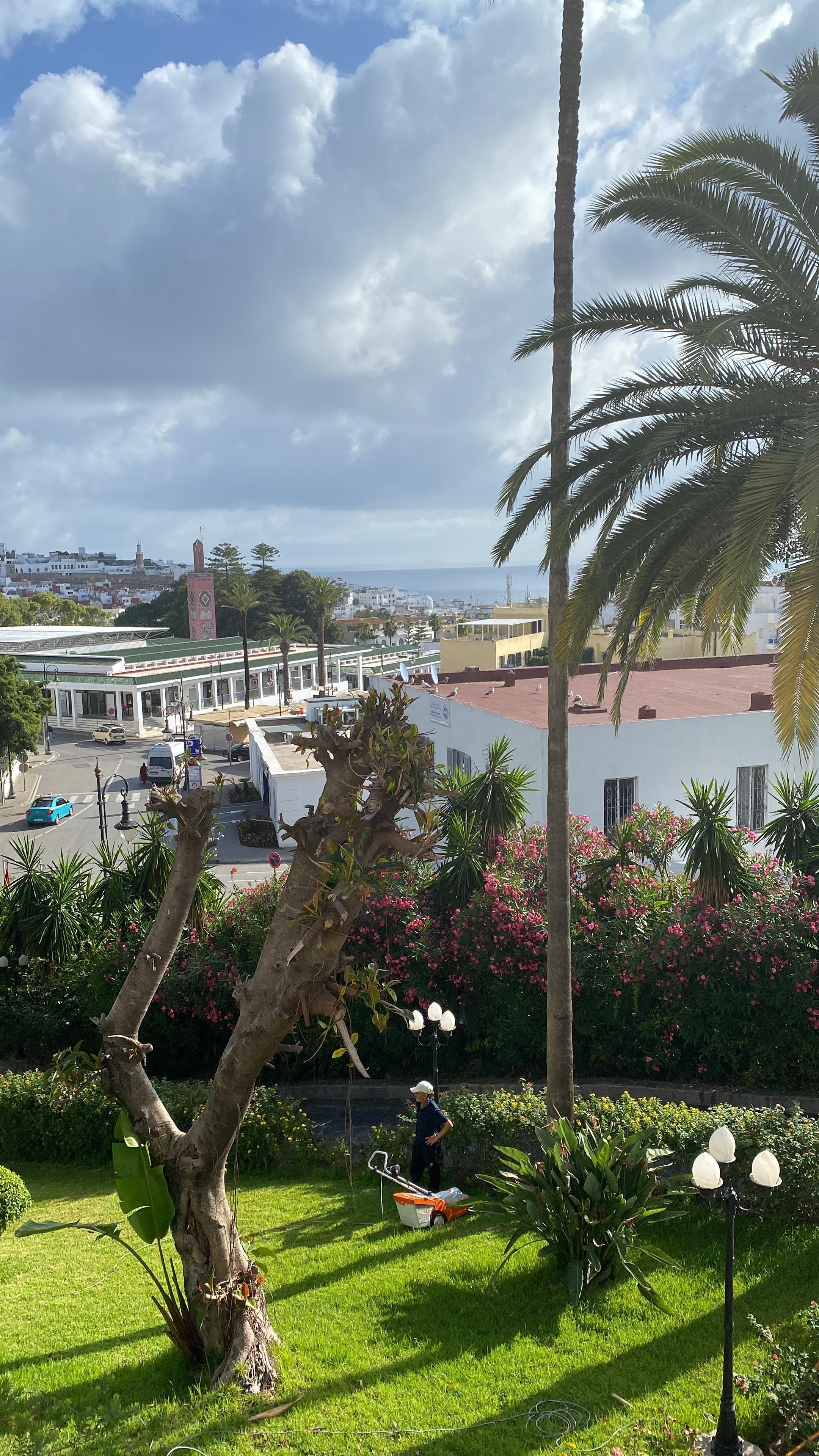 Terraza /restaurante hotel