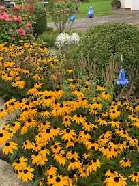 Garden area