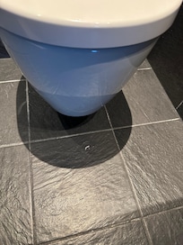 Blob of cream (I hope) below the toilet