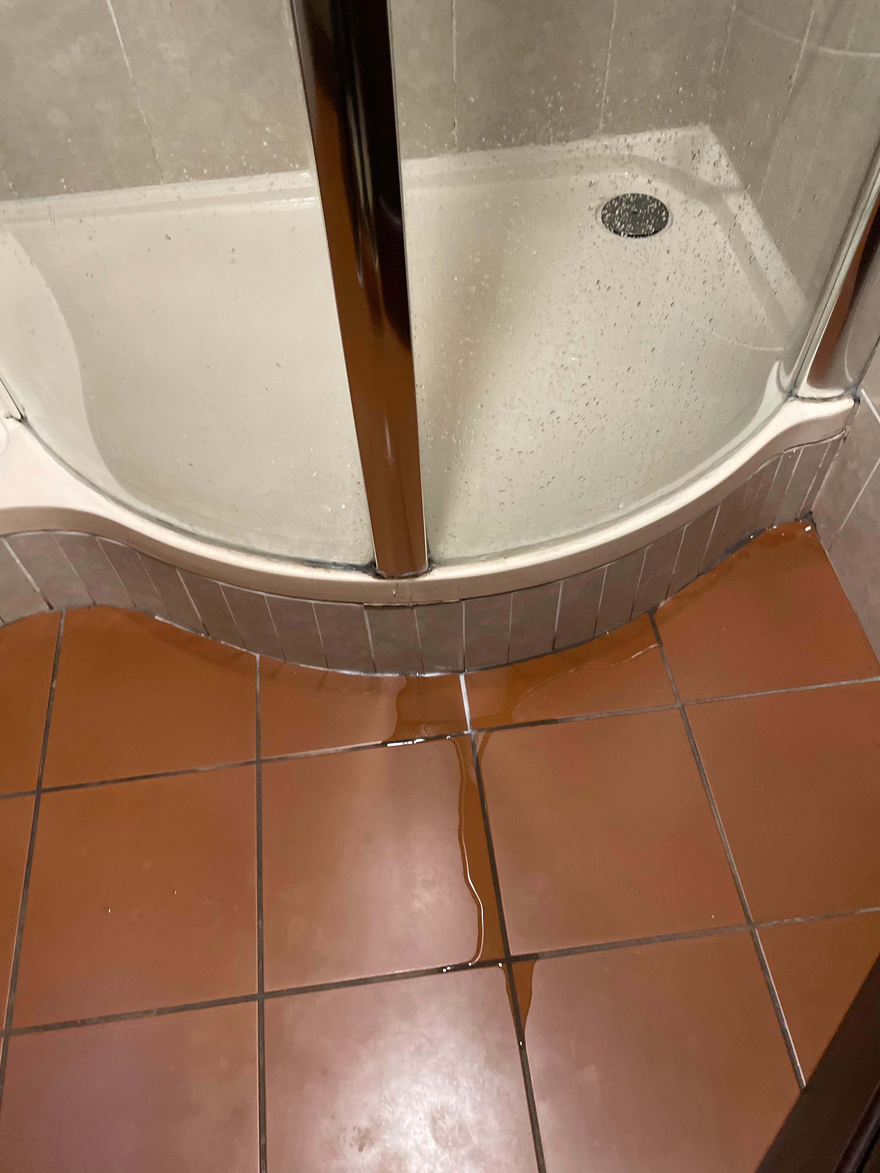 El agua se filtra de la ducha de la habitación Presidencial y se pone resbaloso!