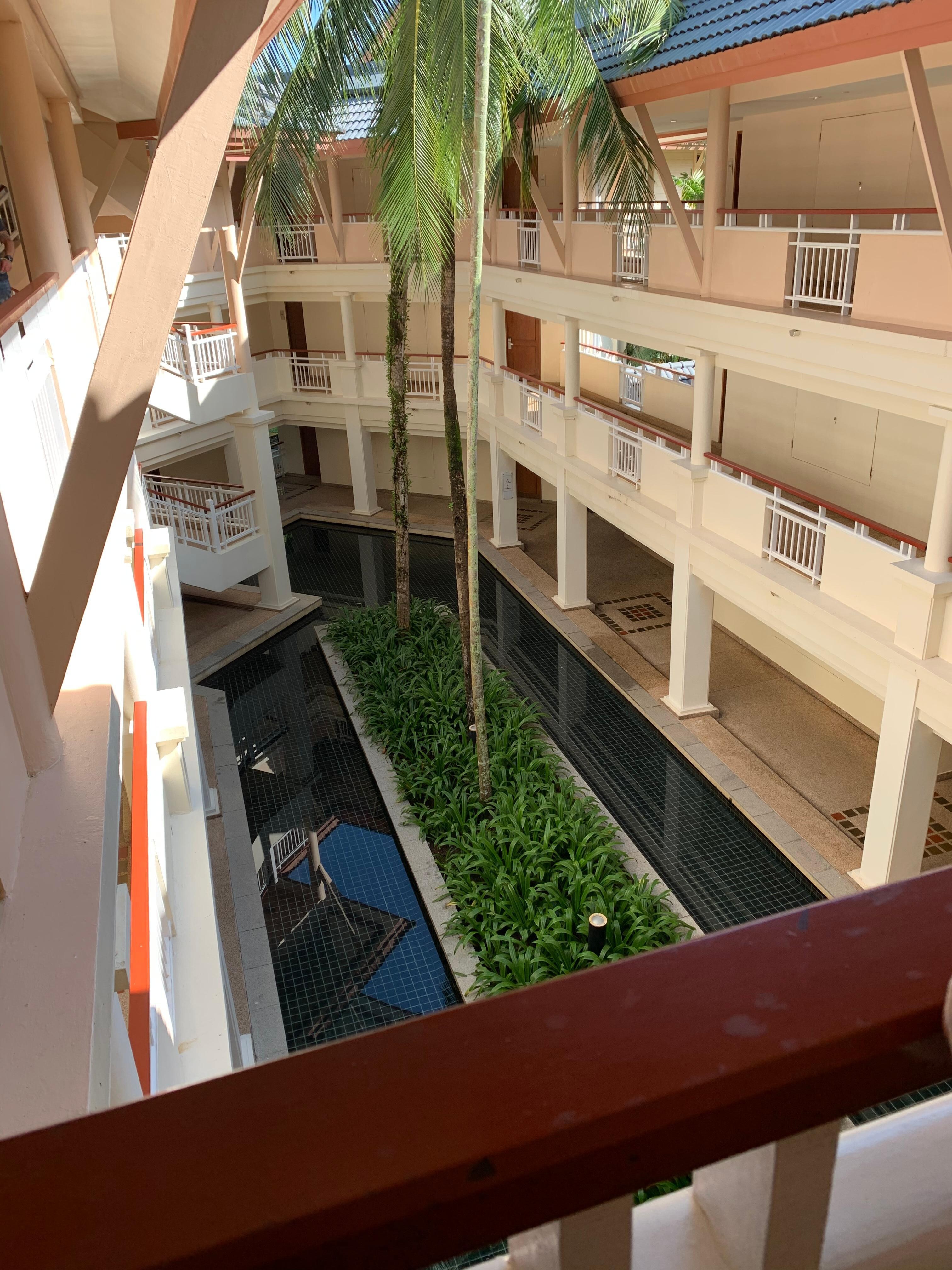 En grön oas mitt i hotellkorridoren