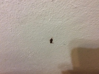 Clump of blood or snot on floor