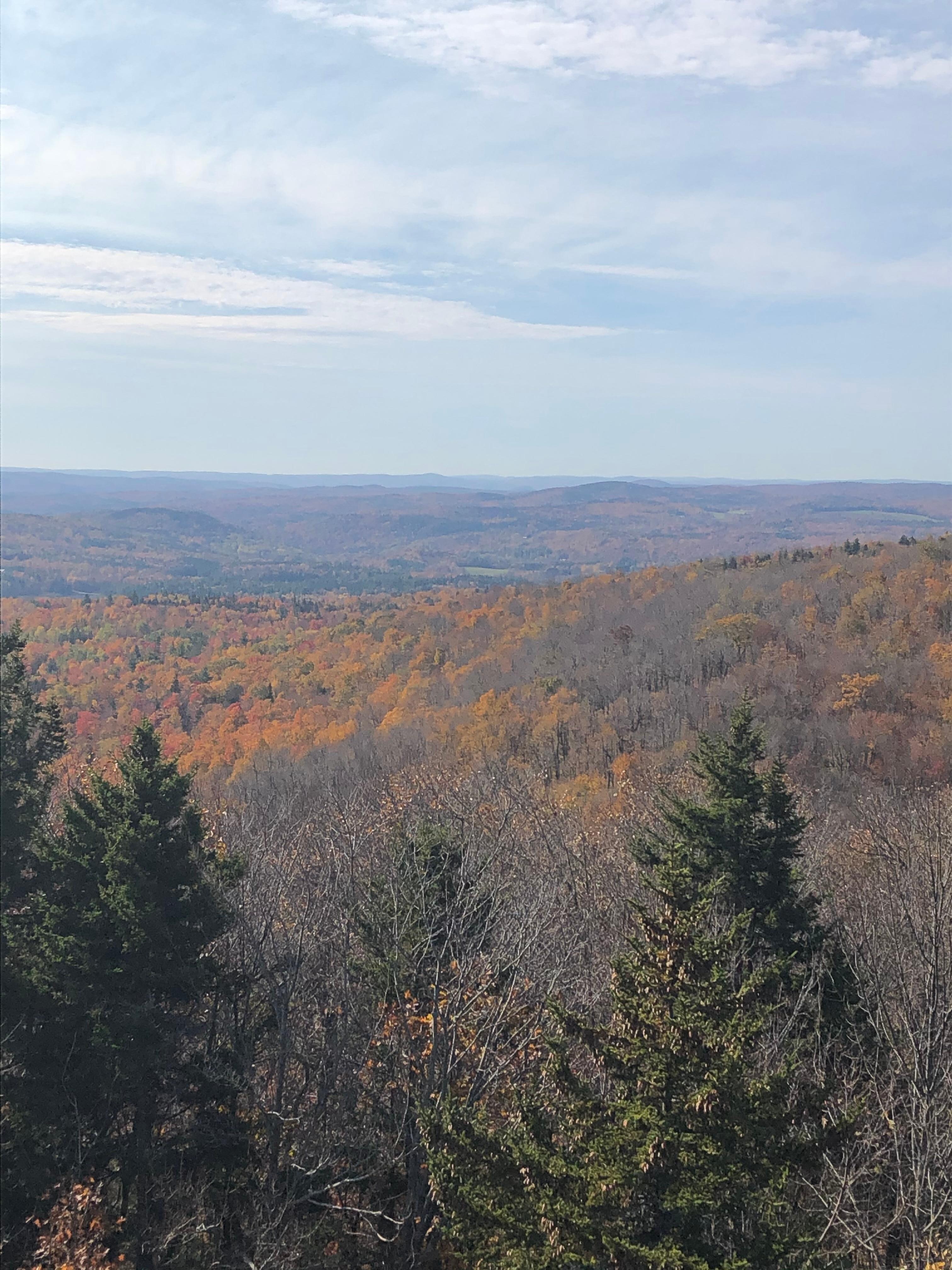 Molly Stark state park