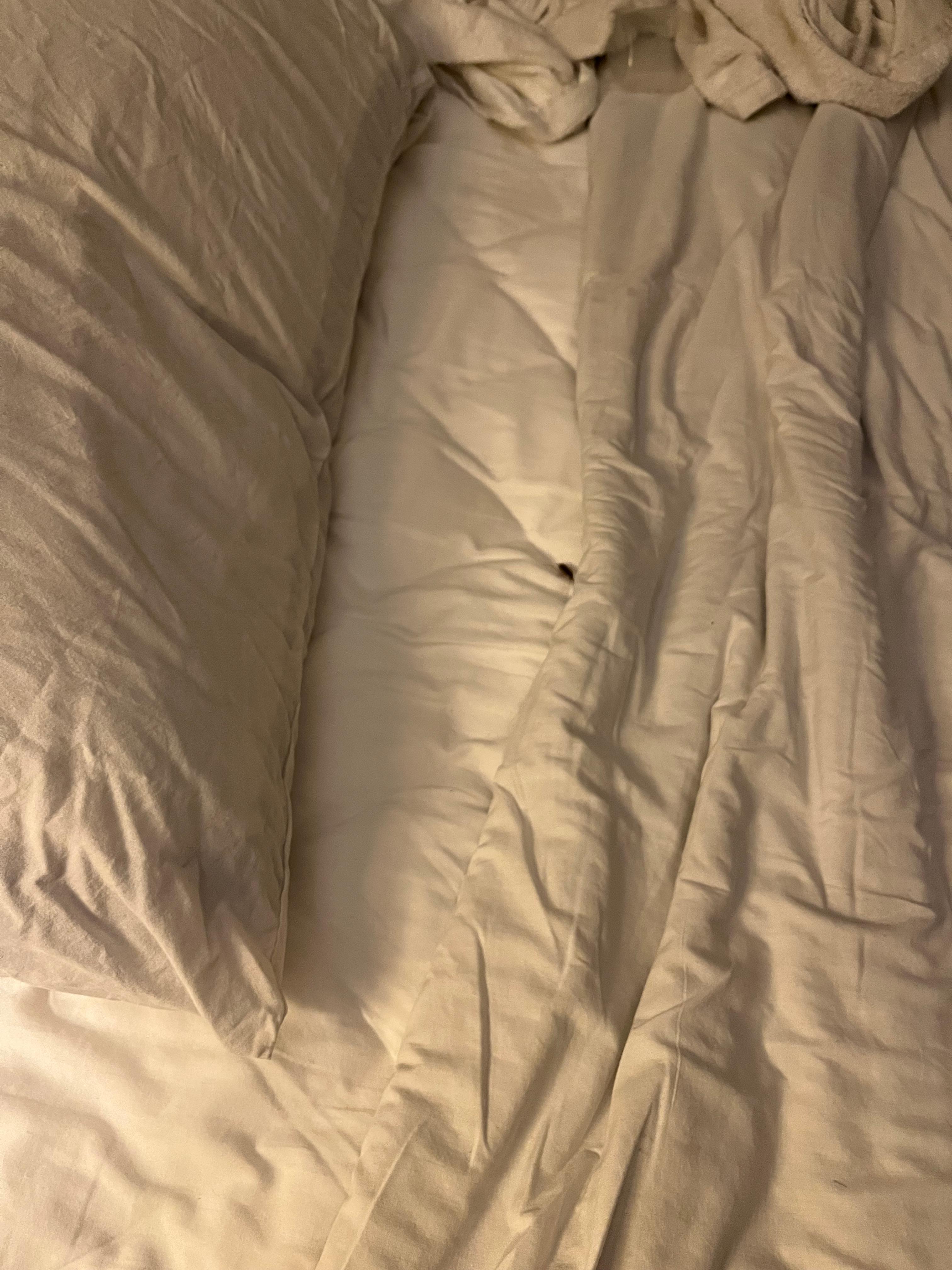 Roaches in the bed 