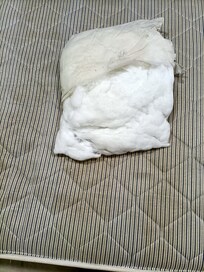 Cushion inner
