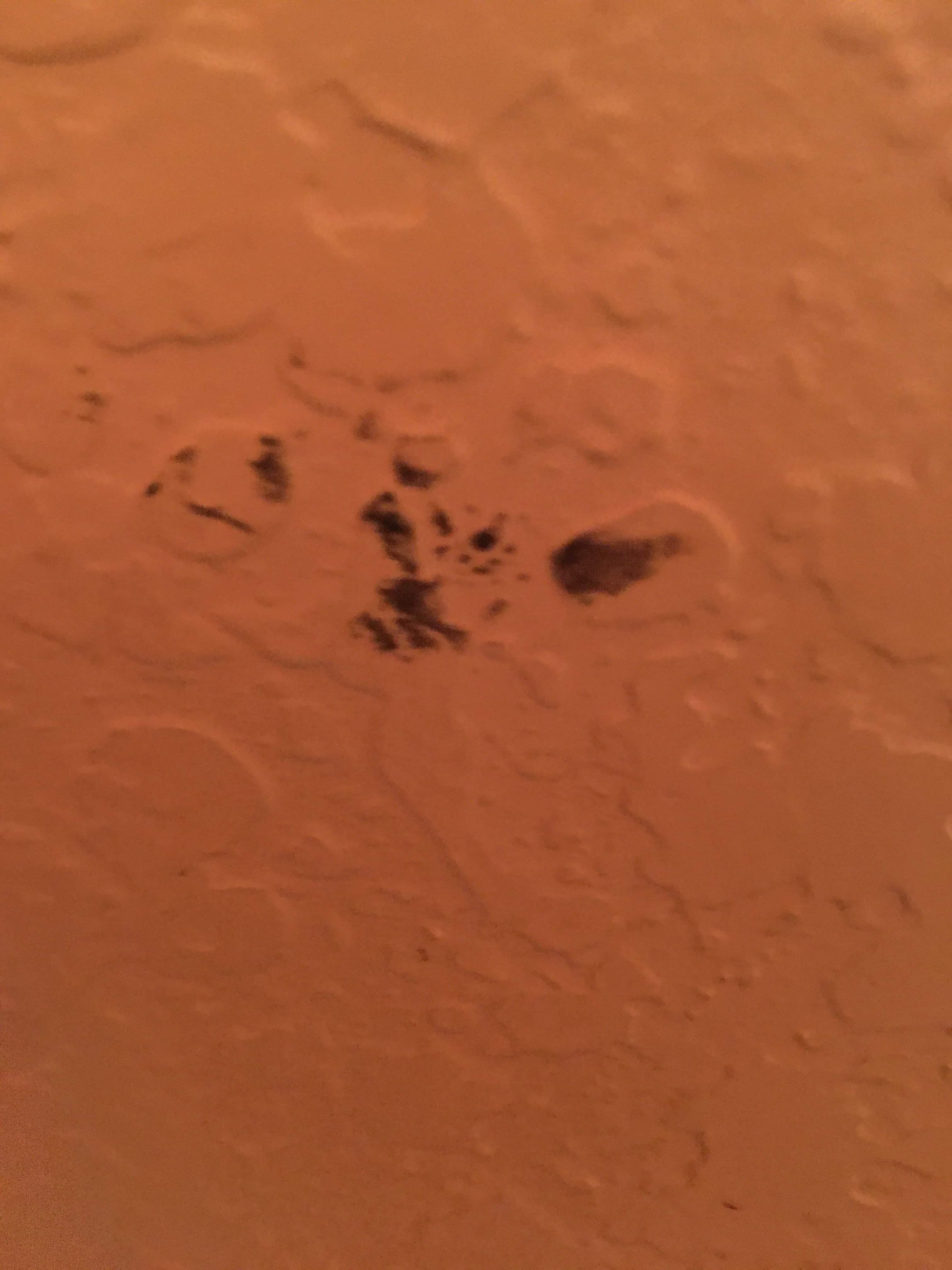 Mystery wall stains