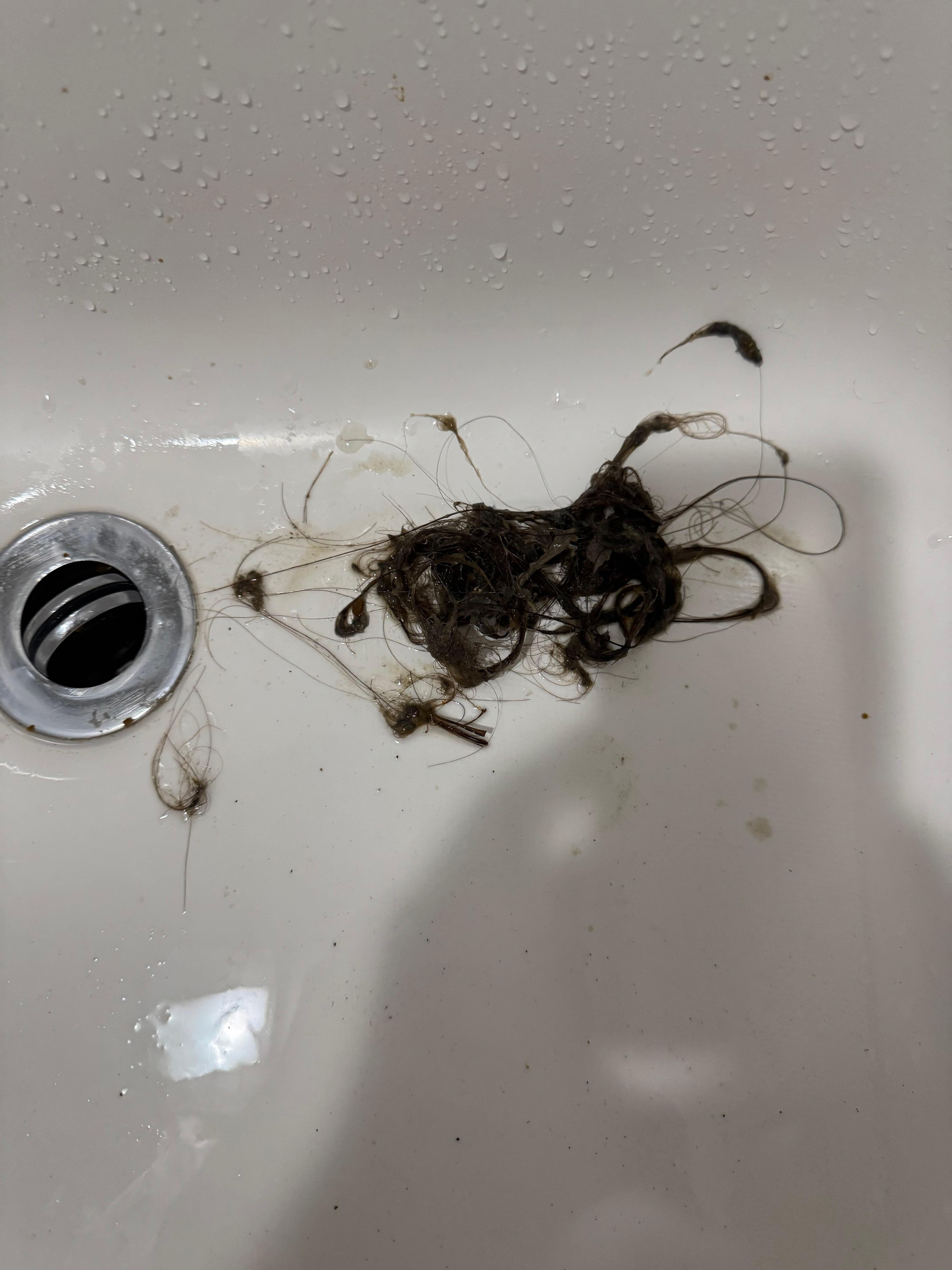 Hair I removed from drain 