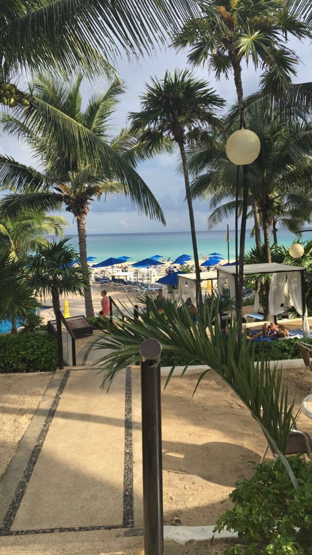 View as you're walking to the main restaurant and beach