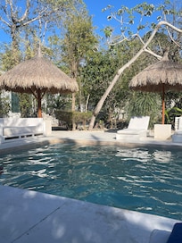 One of two pools. Second one is like a lap pool.