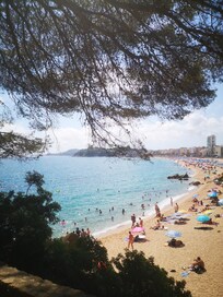 La plage à moins de 100 m de l'hôtel