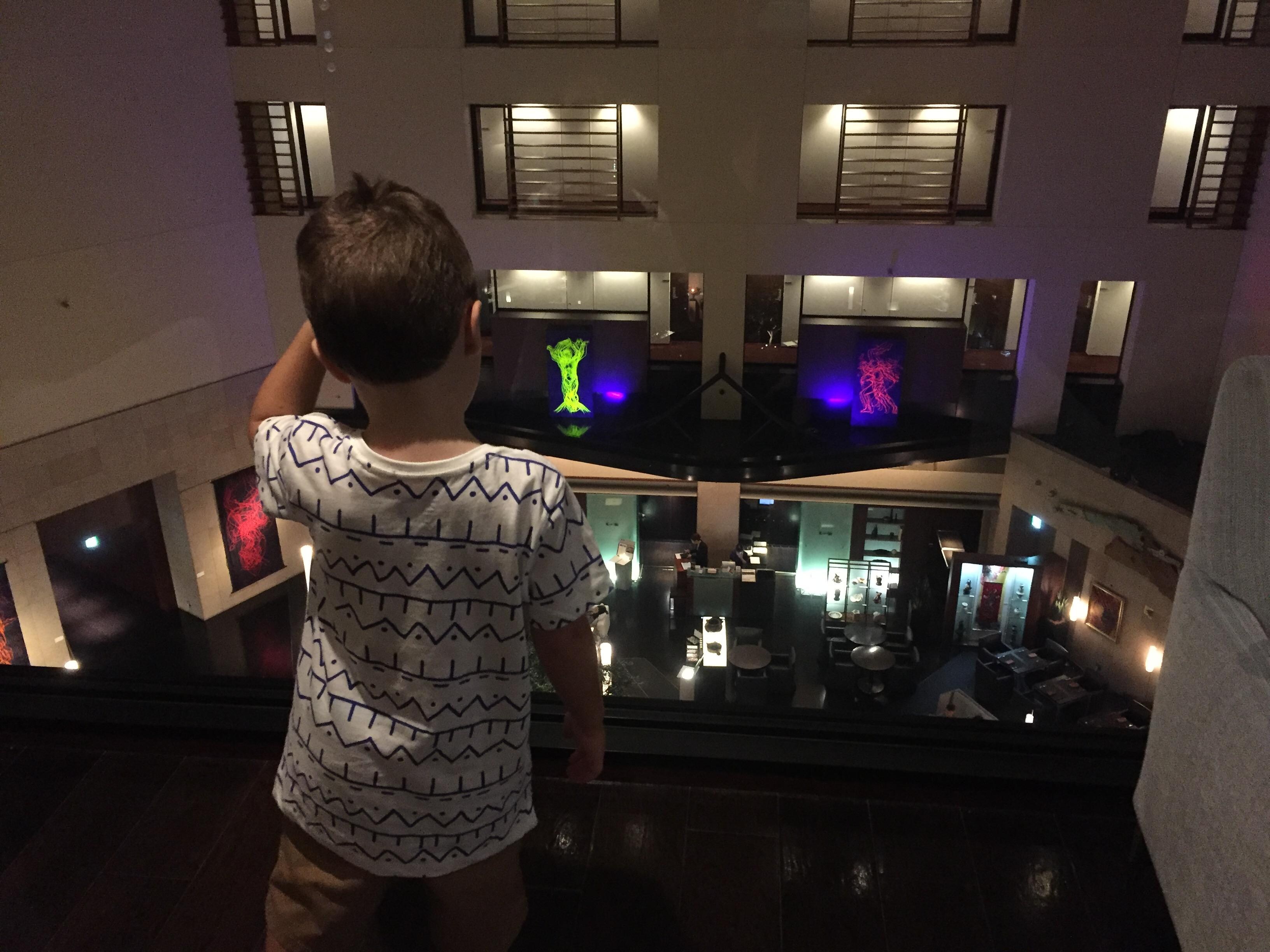 Looking into hotel lobby