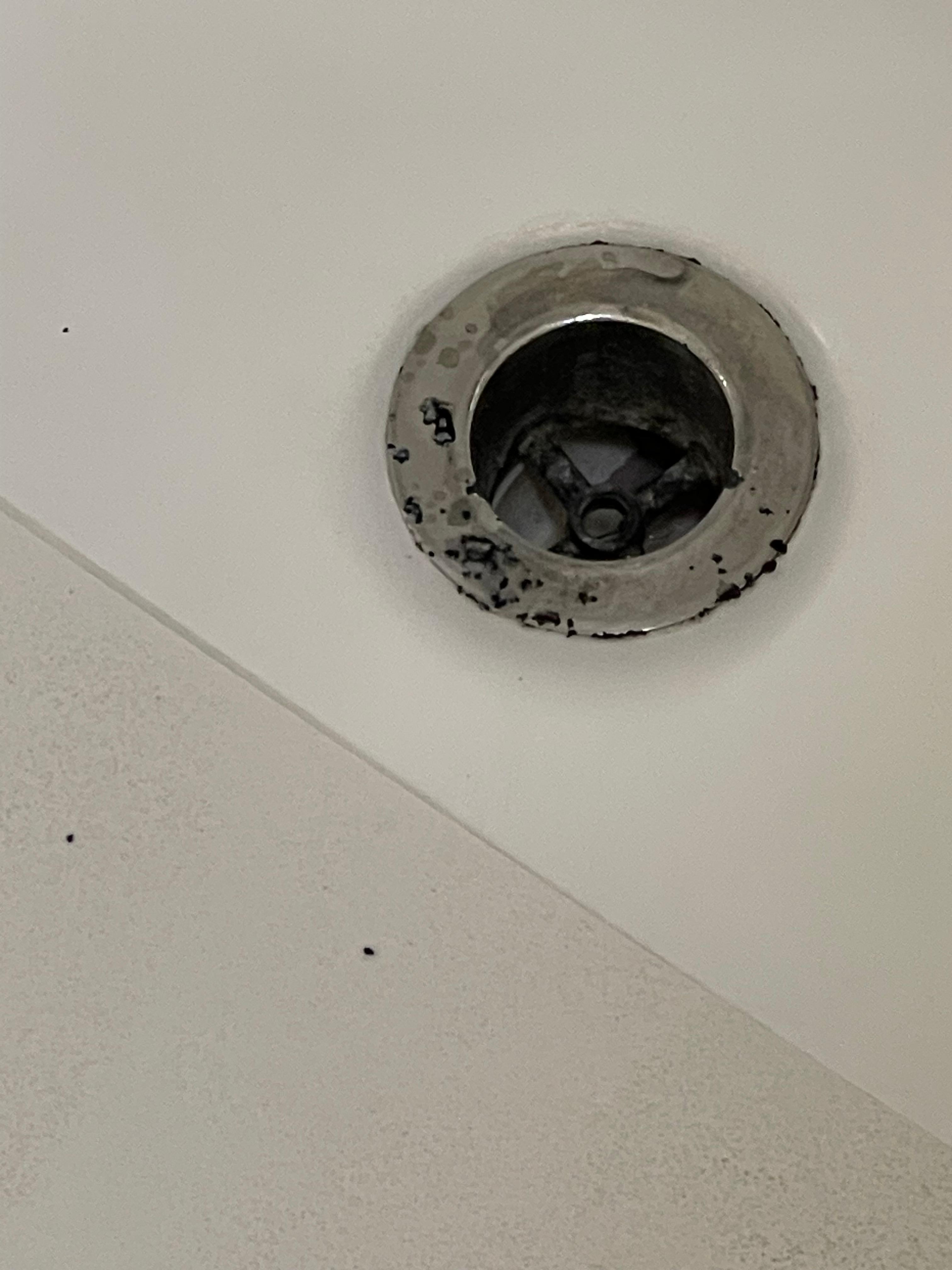 Mold in drain!!