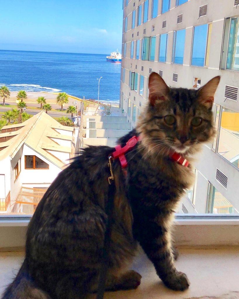 Zoé disfrutando del hotel.