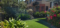 Front yard