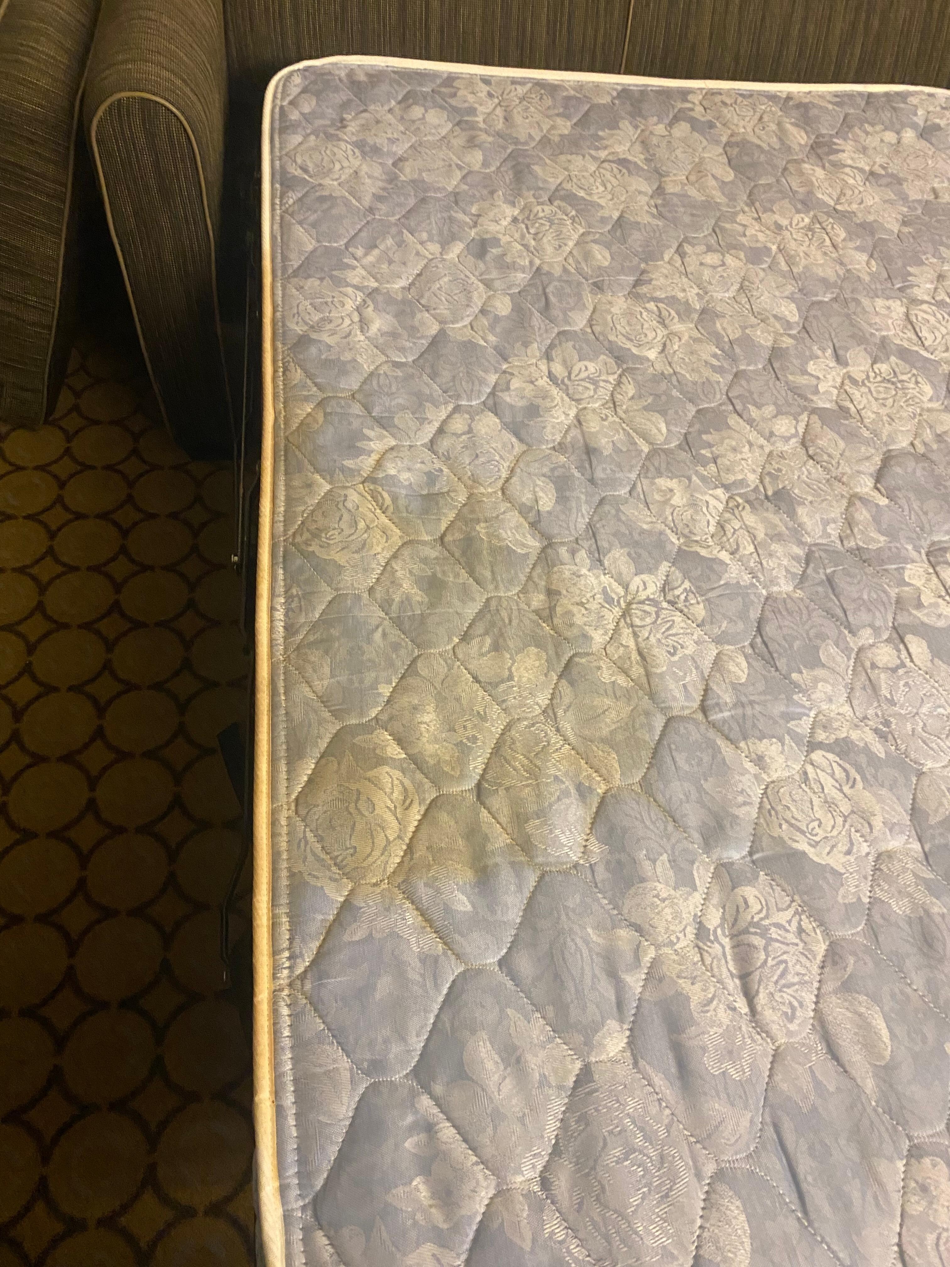Pee on bed