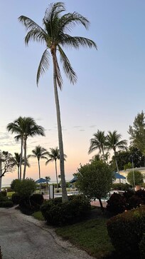 Sunrise