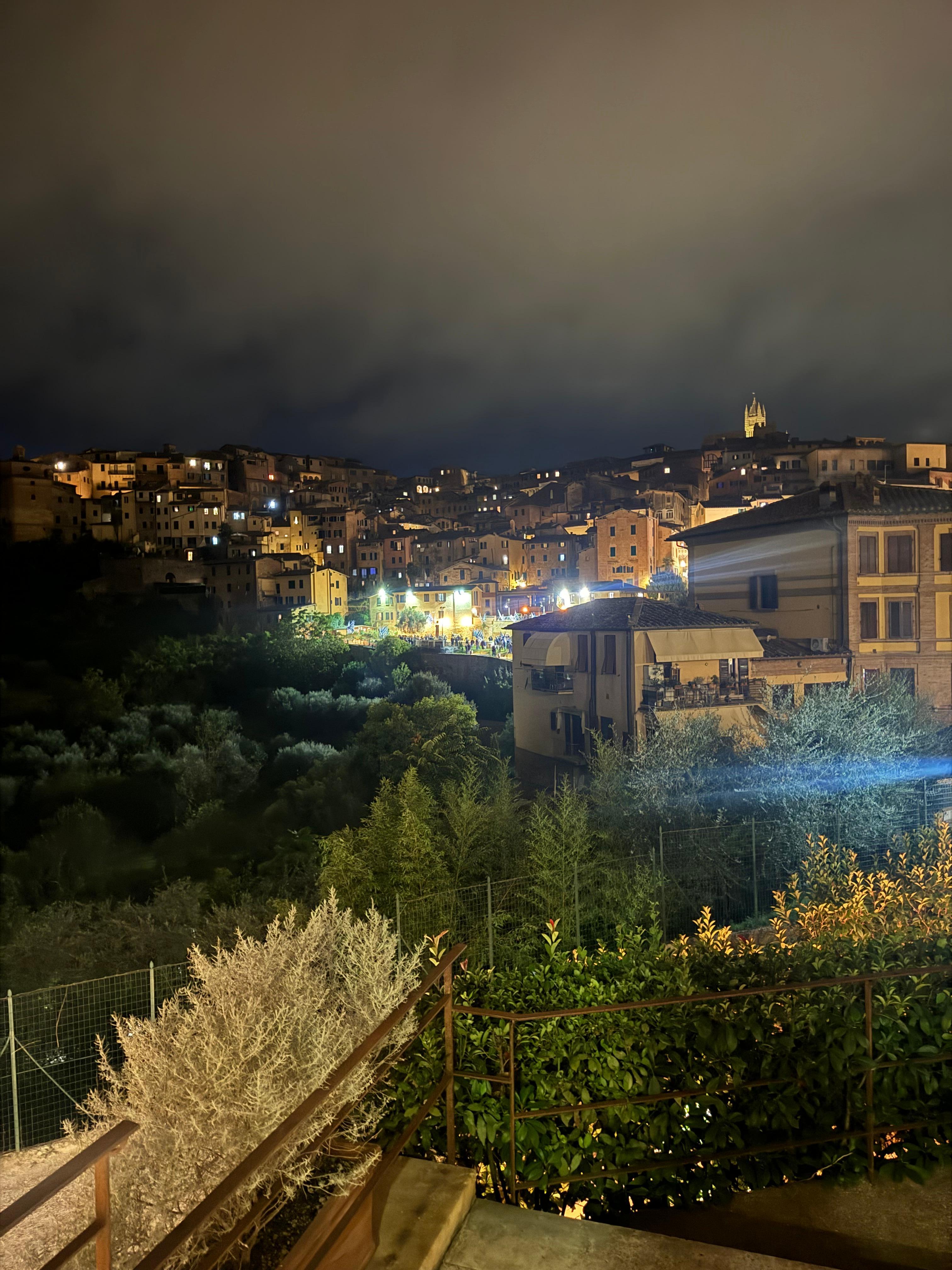 Looking out our window at night.