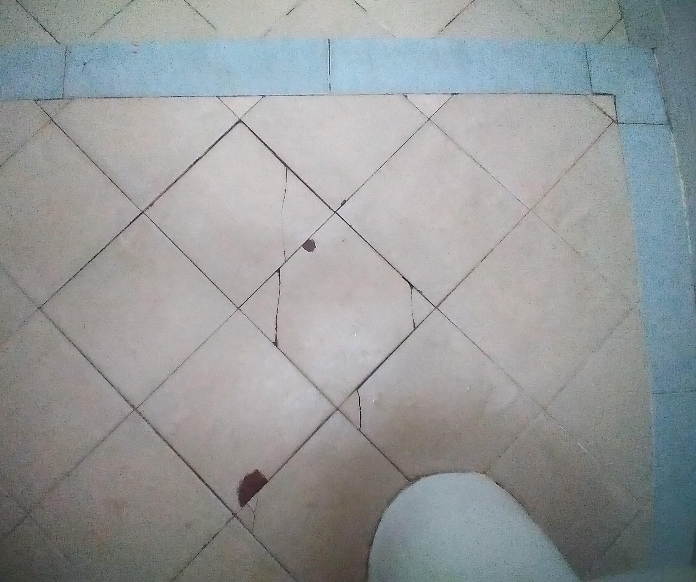 Third image - some bathroom floor tiles were either broken or cracked