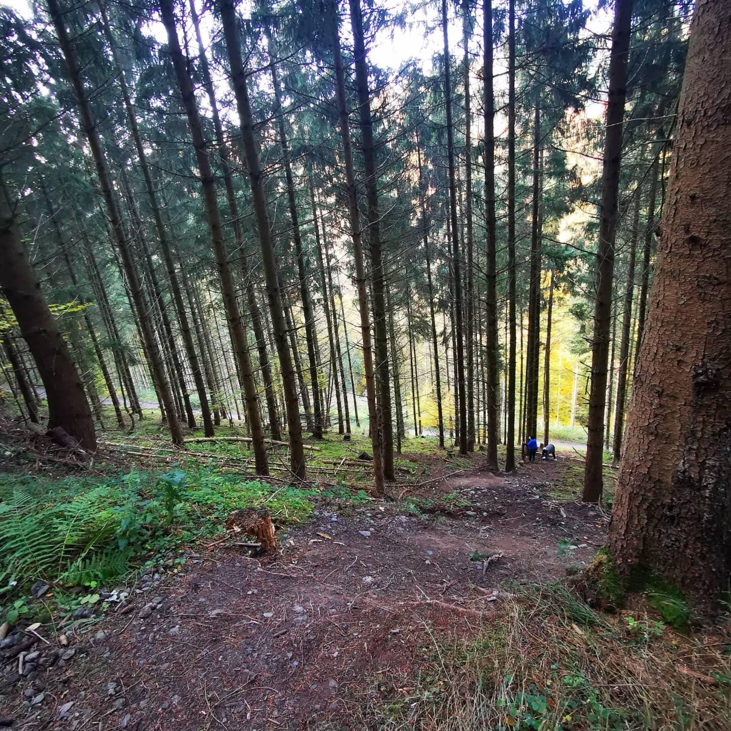 Schöne Wanderwege.