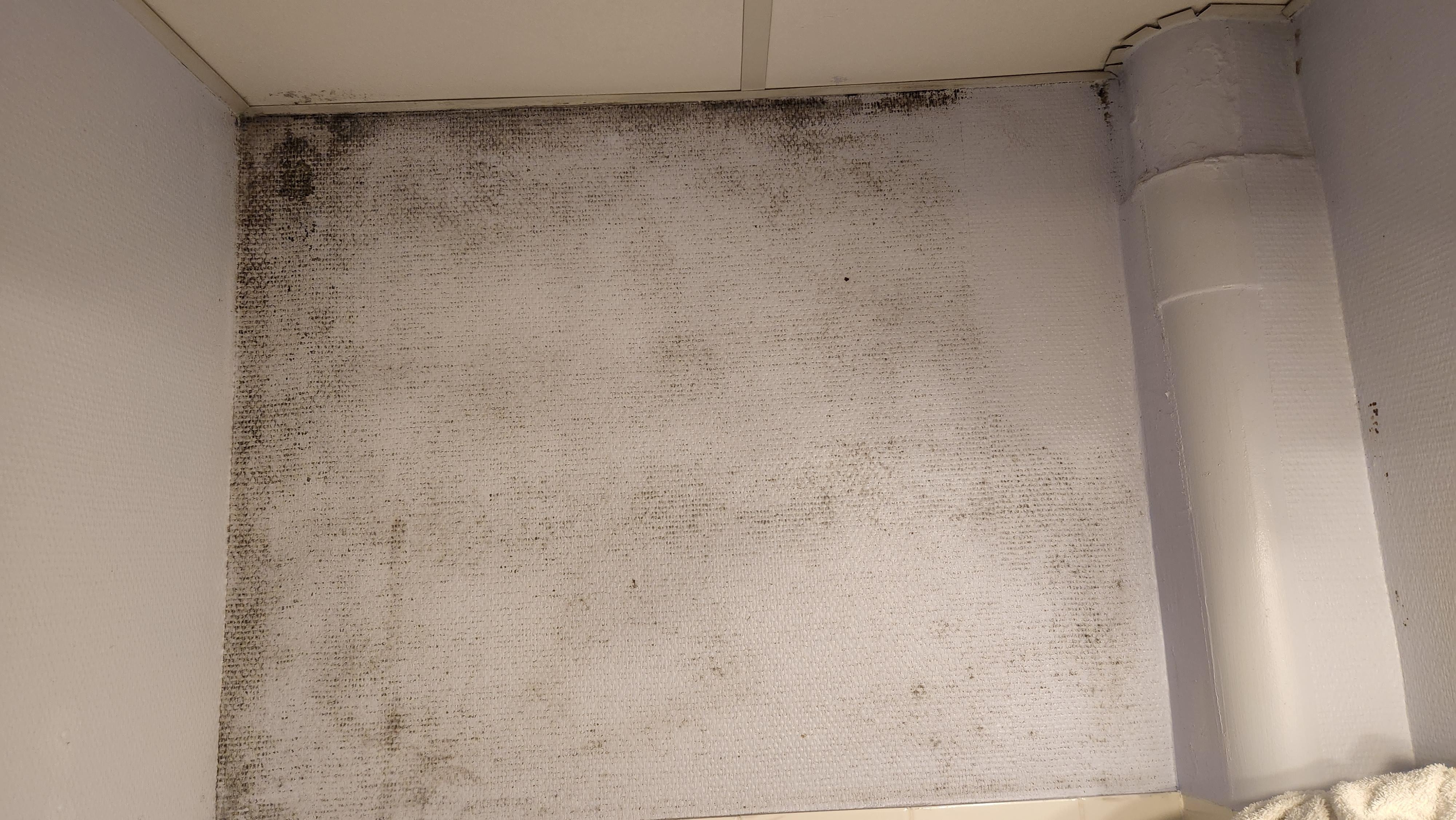 Wall in bathroom