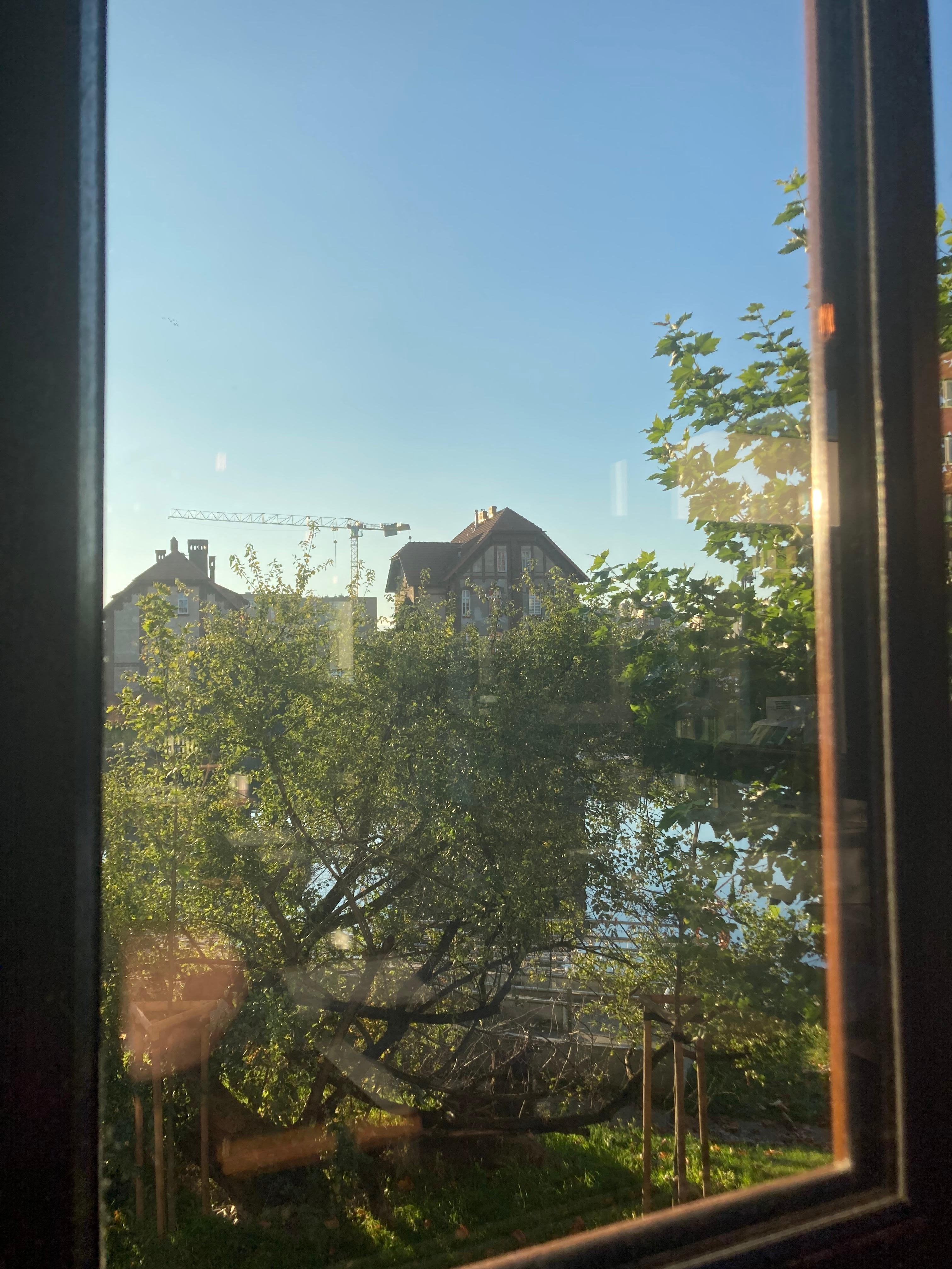 View from room