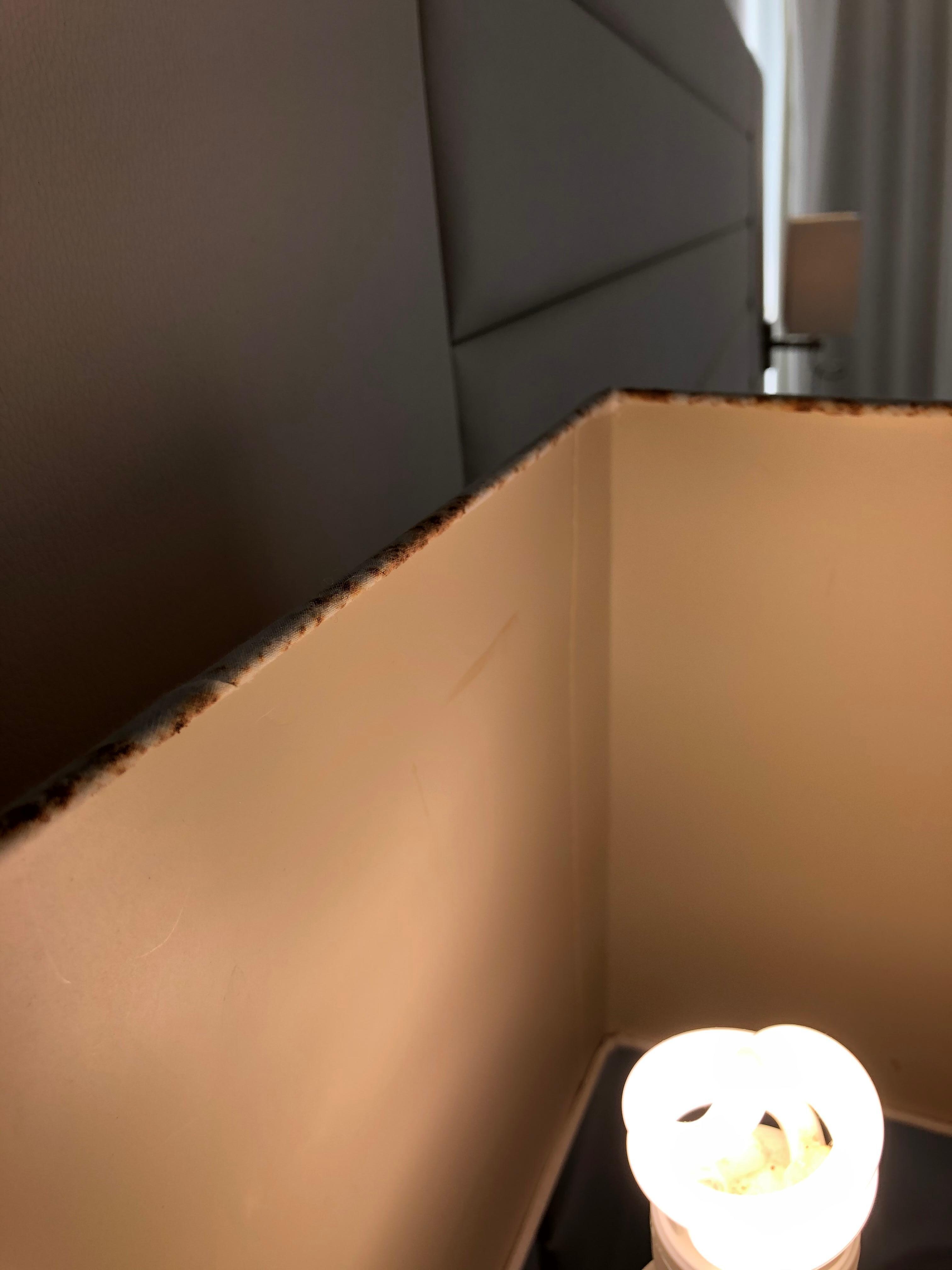 Brun kant på lampen
