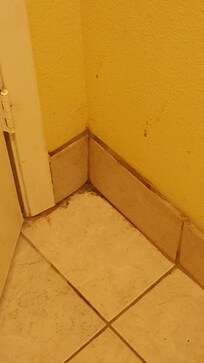 All corners in bathroom were disgustingly dirty. Anyone over 5ft. Had to bend at the waste to use shower.