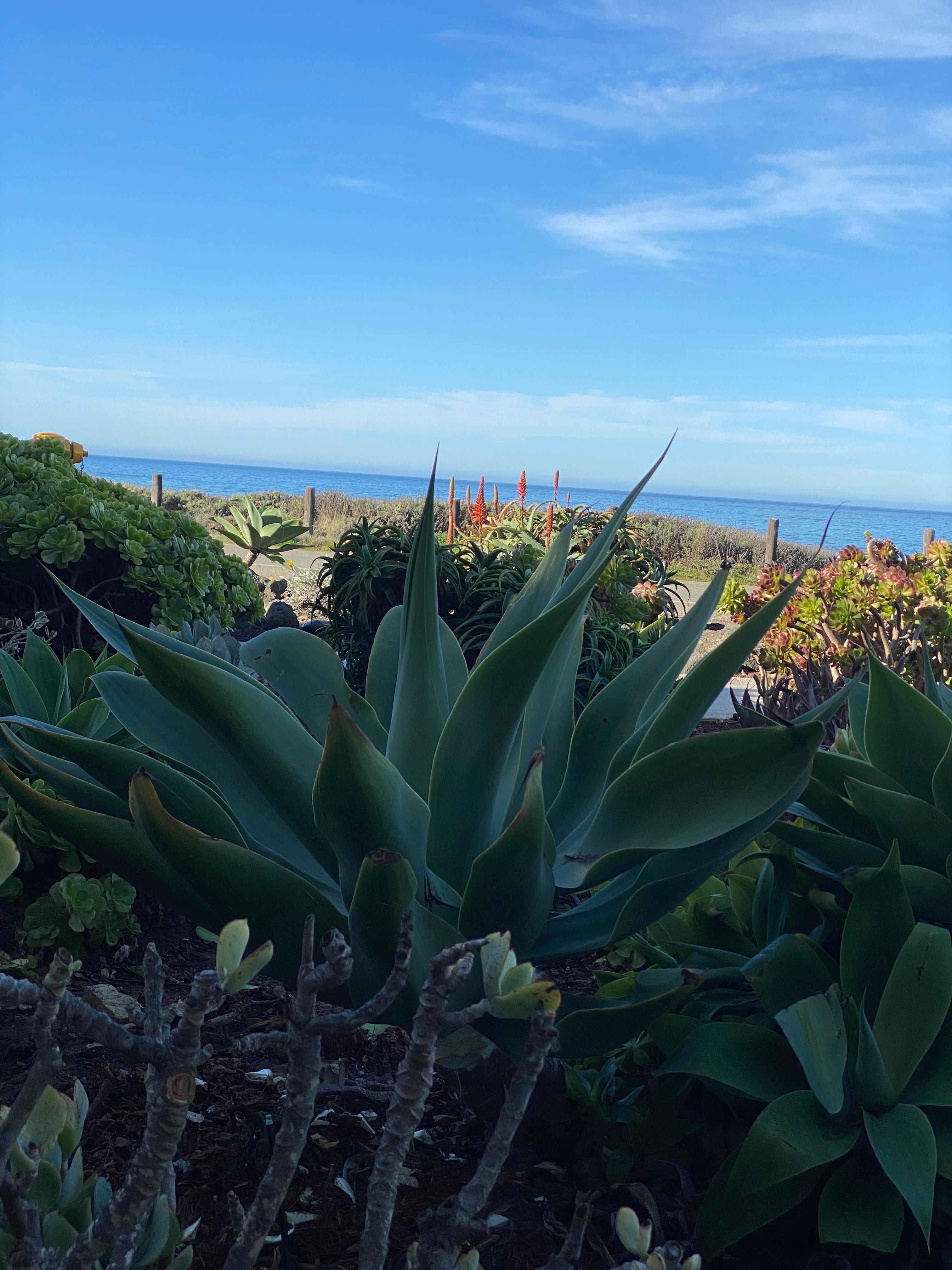 View from our patio