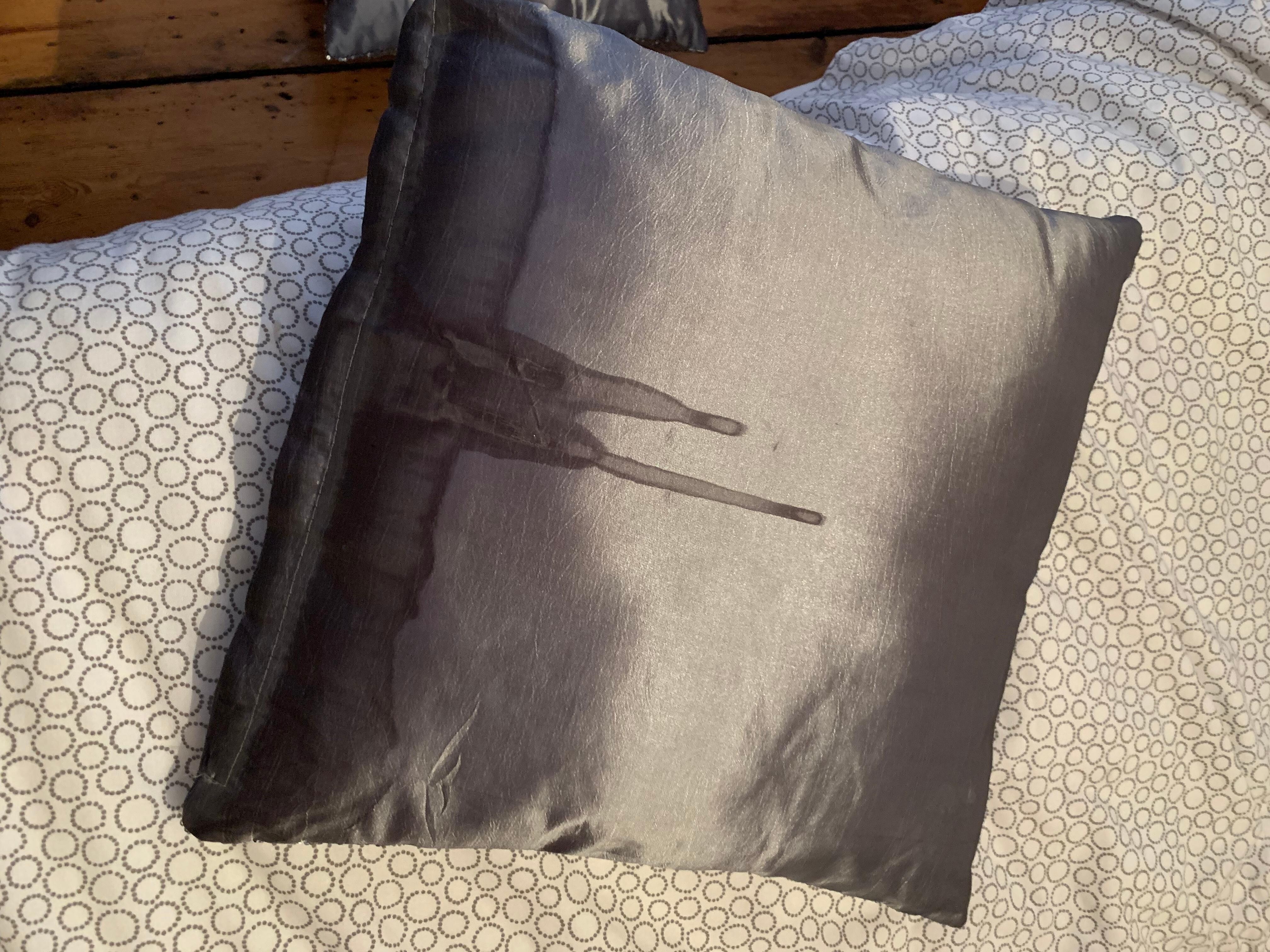 Cushion on the bed with horrible stain on back 