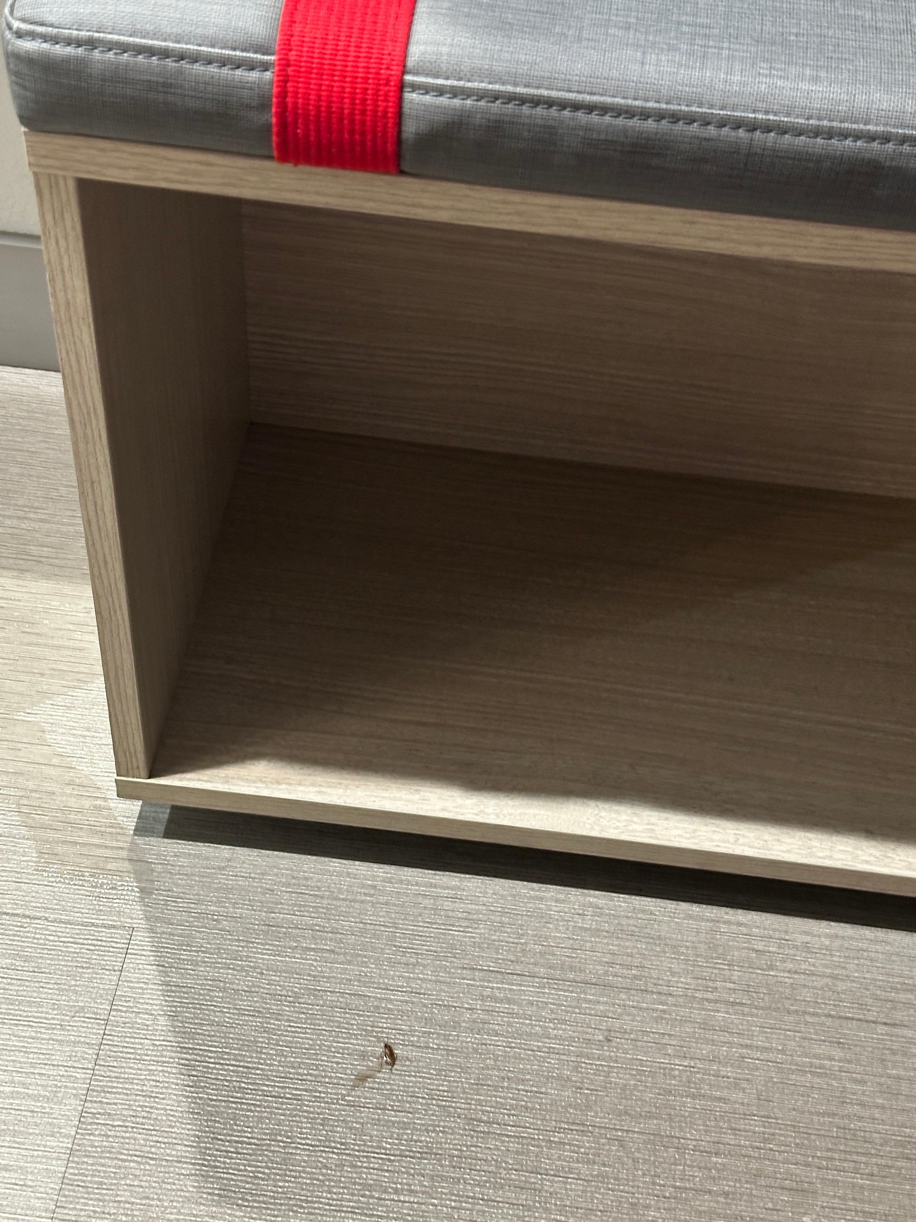 Roaches came from under this cabinet.