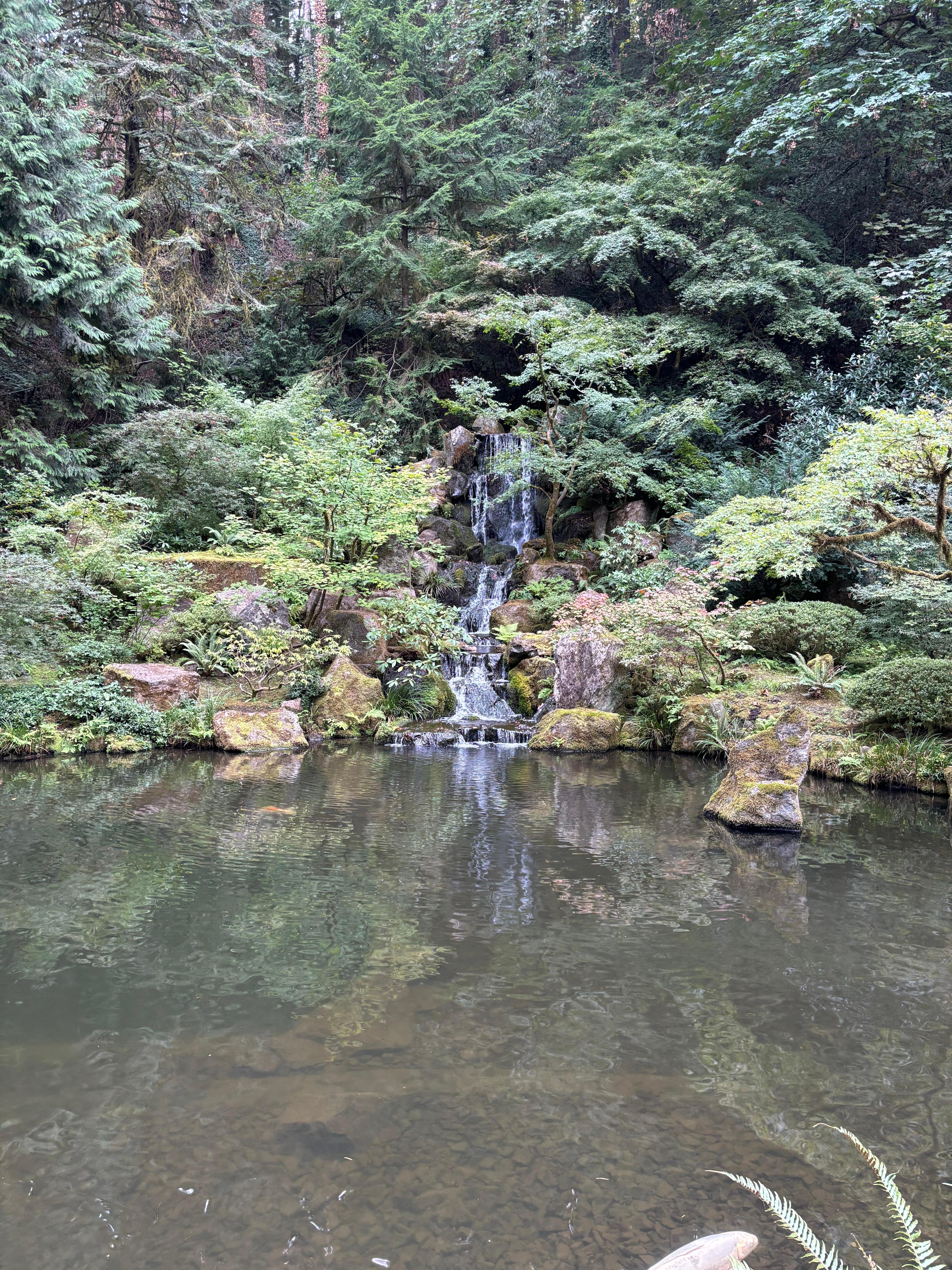 From the Japanese Gardens. Lovely place! 