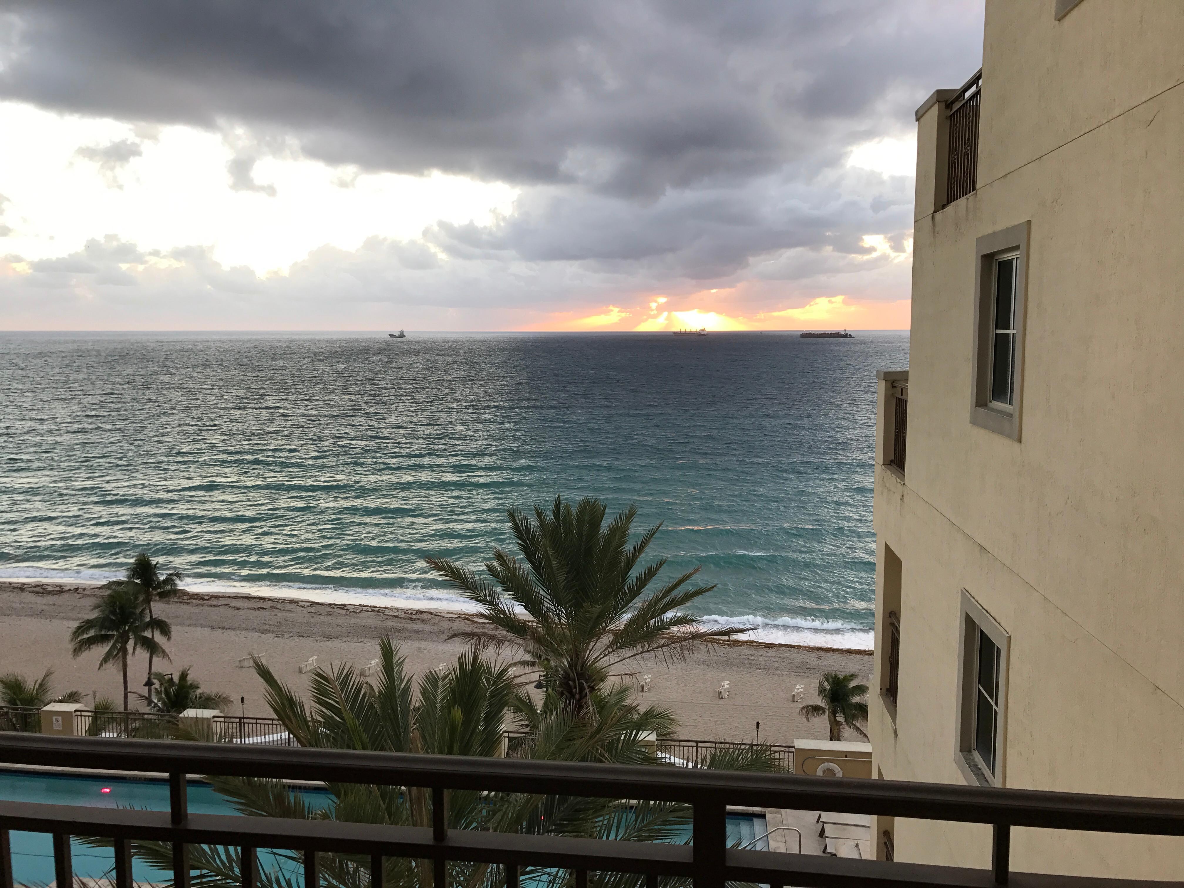 View fro room