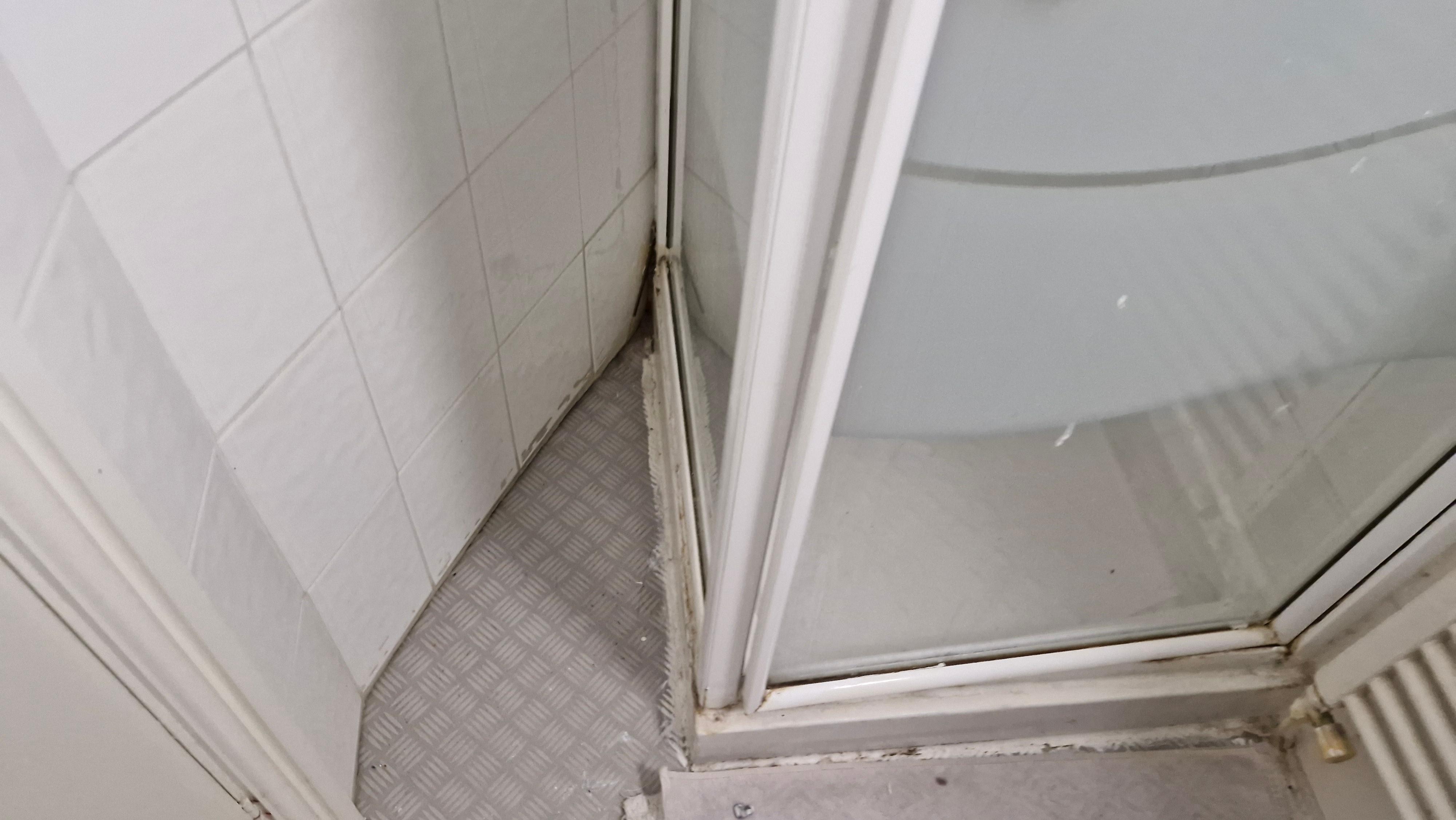 Shower room not clean,  mould everywhere 