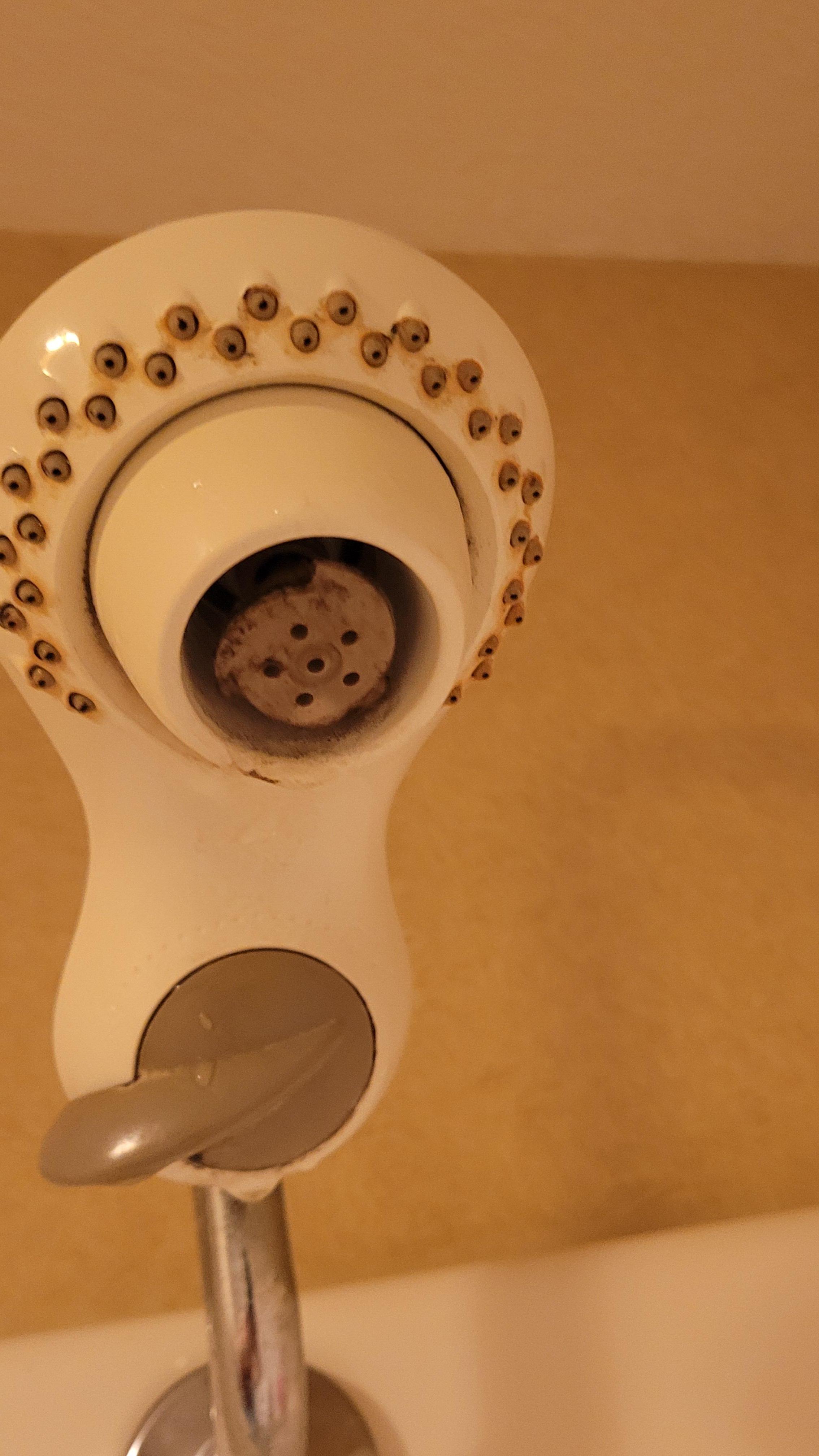 Mold