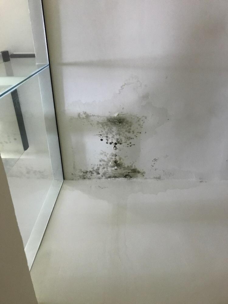Ceiling leaks