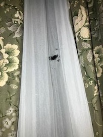 kaputte, löchrige Vorhänge auf dem Zimmer