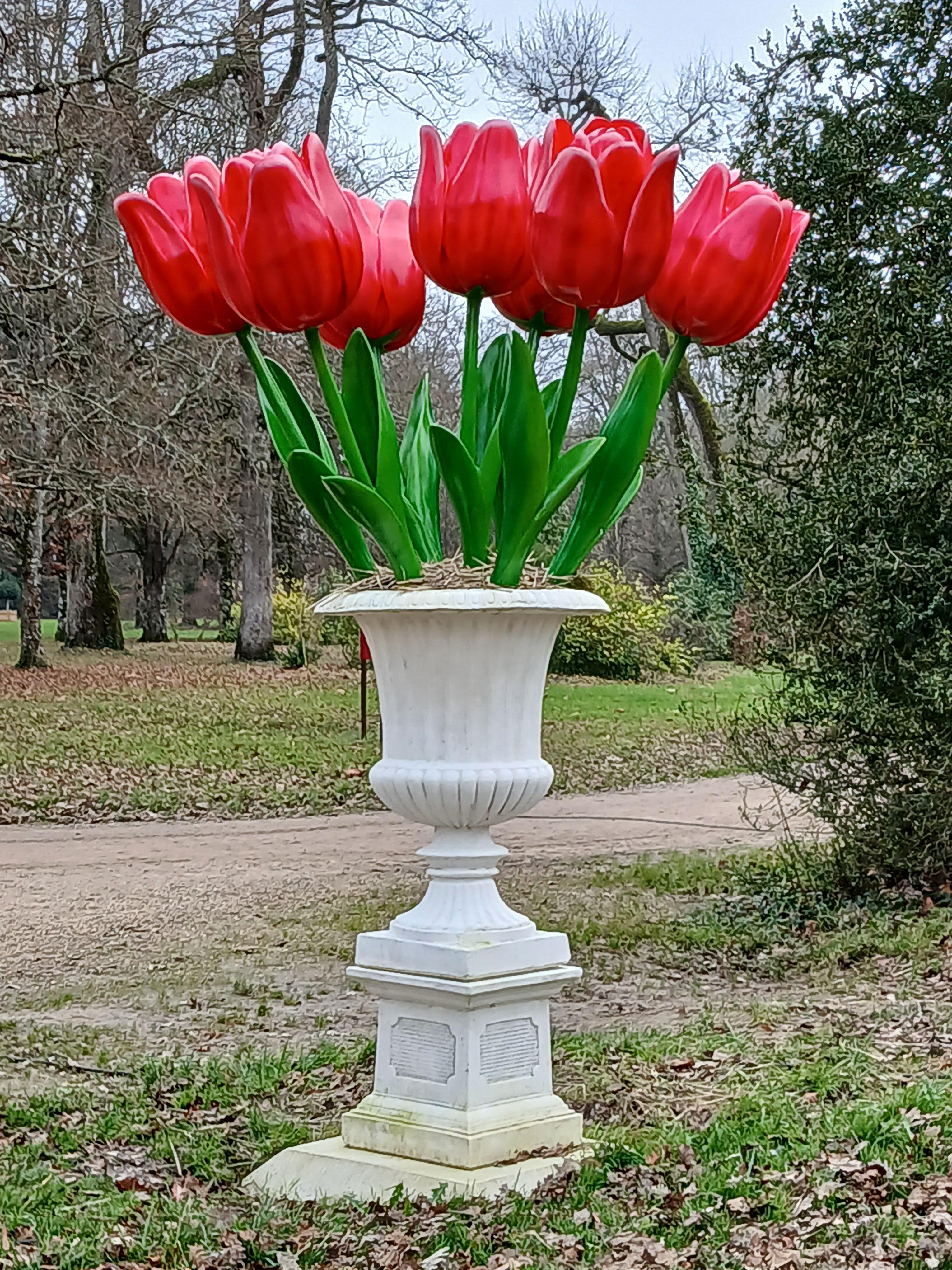 Hotel bien situé proche des châteaux de la Loire 